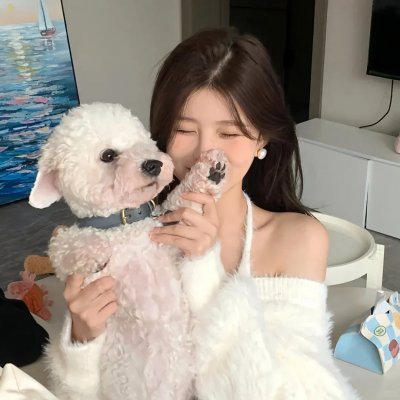 致命网战
